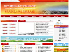 武汉网站建设与软件开发 陆叁玖科技的专业服务指南